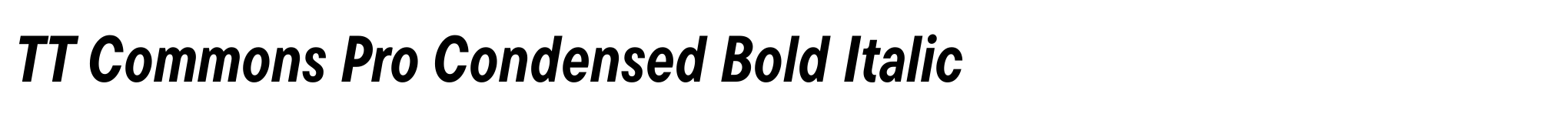 TT Commons Pro Condensed Bold Italic image